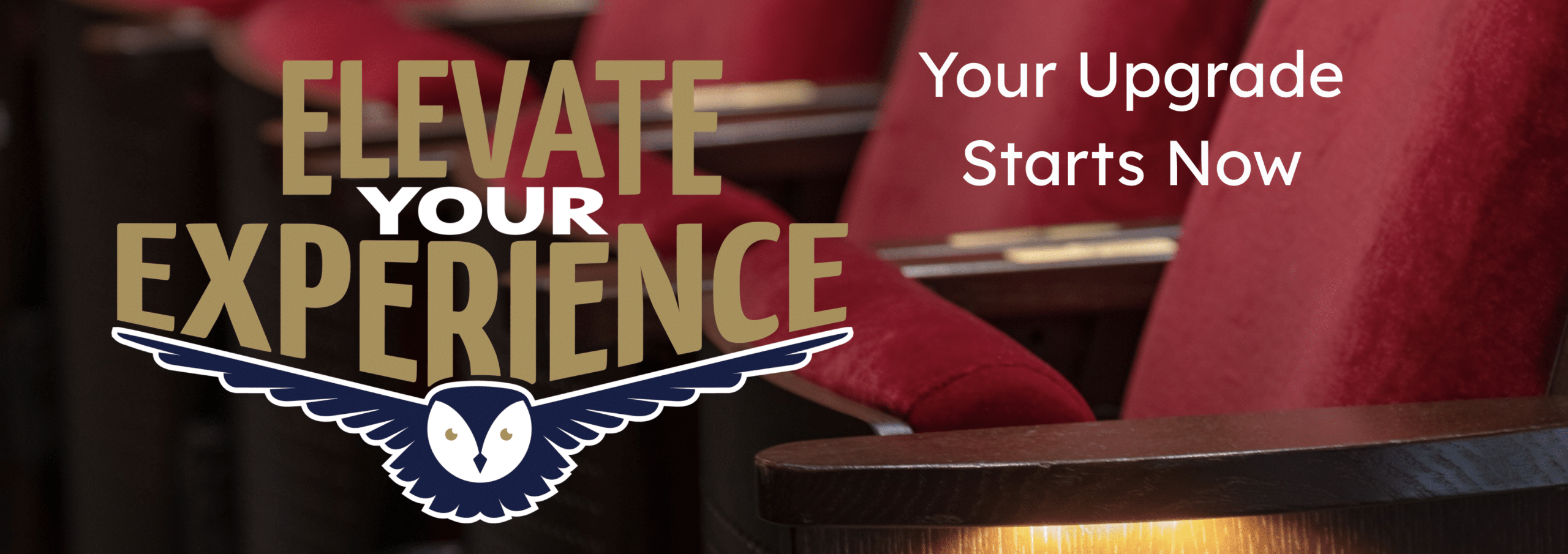 Elevate Your Experience banner